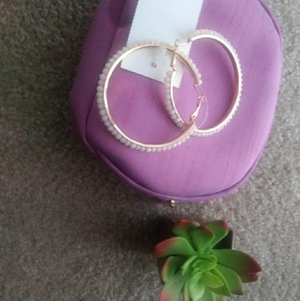 Dusty Rose Hoop Earrings